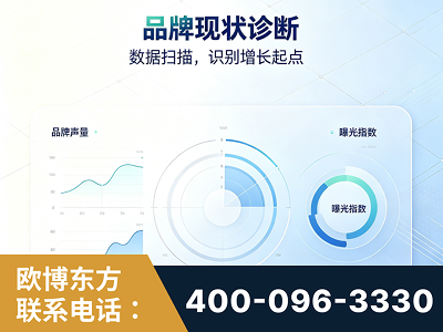 那曲-品牌现状诊断