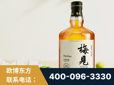 那曲-梅见青梅酒
